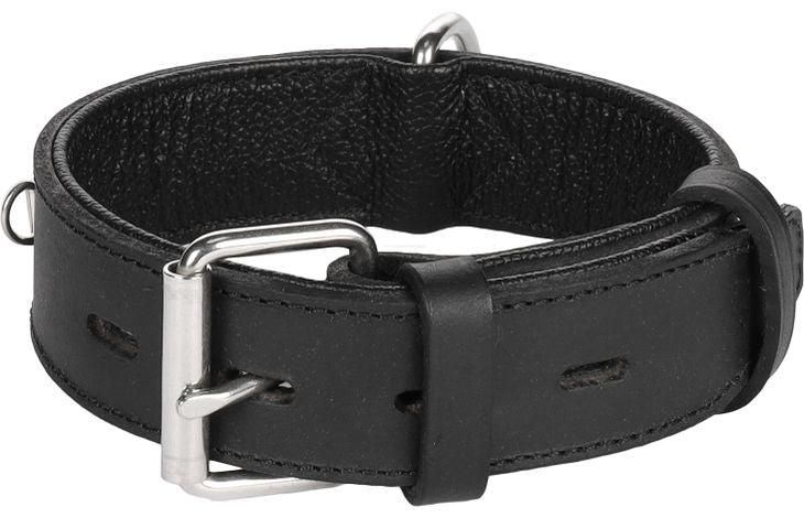 Halsband Gevoerd Breed Seattle Zwart - Maat S, M | 34-44cm X 35mm X 5mm