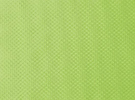 Duni Papieren Placemats 30 x 40 CM - Kiwi