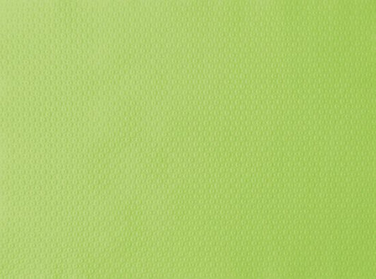 Duni Papieren Placemats 30 x 40 CM - Kiwi